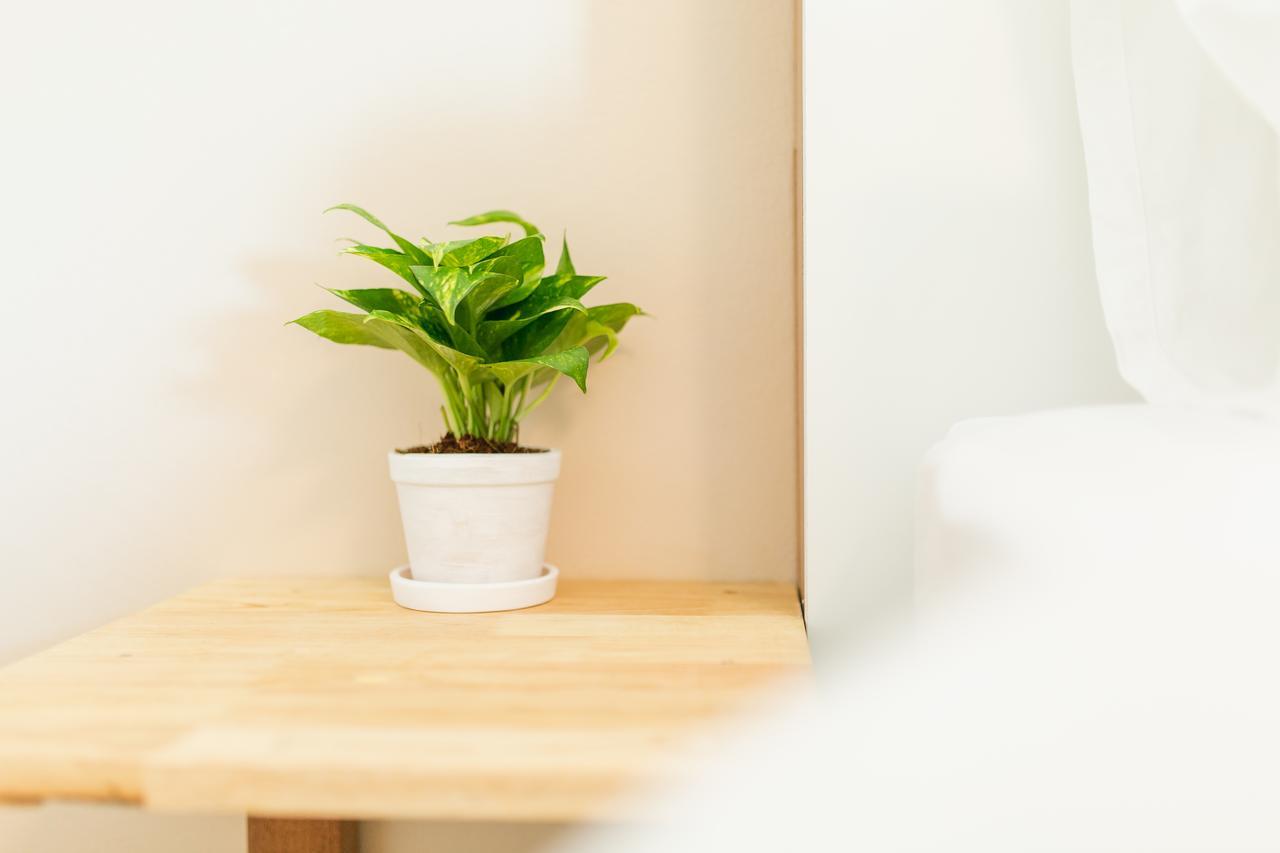 Habitat Hotel Csiangmaj Kültér fotó